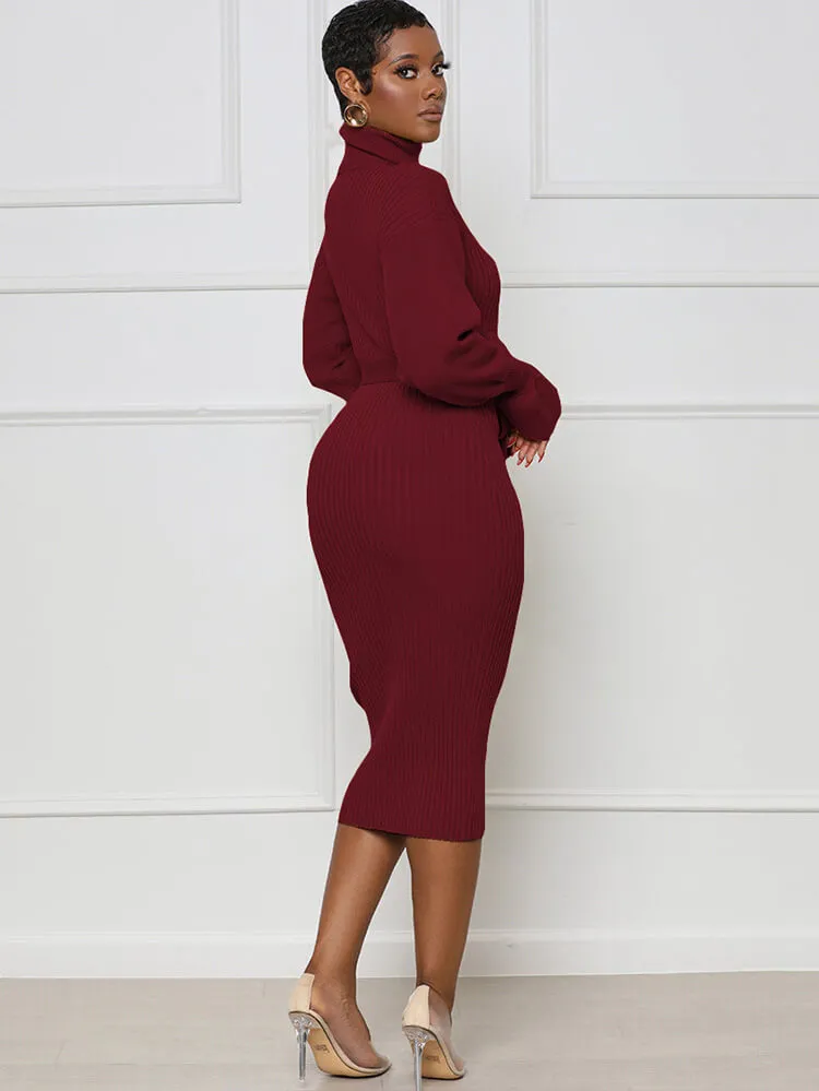 High Neck Long Sleeve Solid Midi Dreses