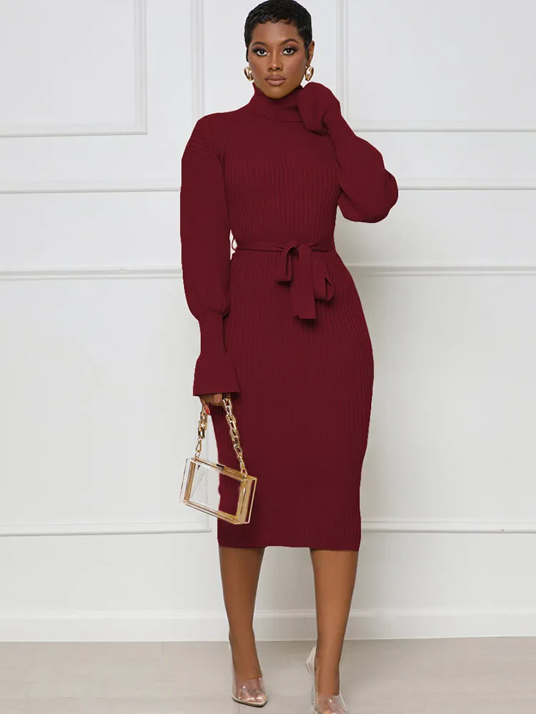 High Neck Long Sleeve Solid Midi Dreses