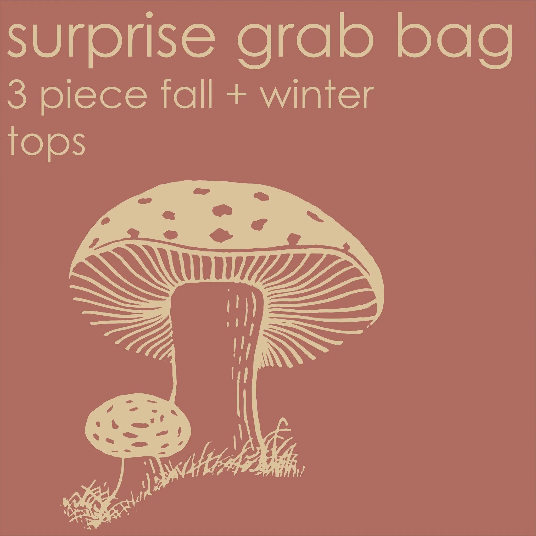 surprise grab bag | 3 pack fall   winter tops